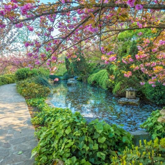 Orti Botanici e Giardini Storici, tra passato e futuro - Accademia Pugliese delle Scienze